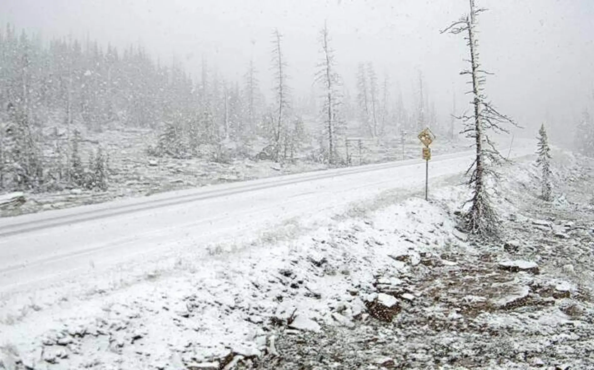 Nieve en Utah Lacey Swope